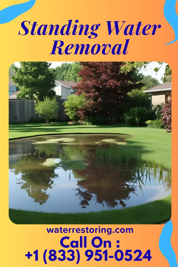 Standing Water Removal in Smolan, KS